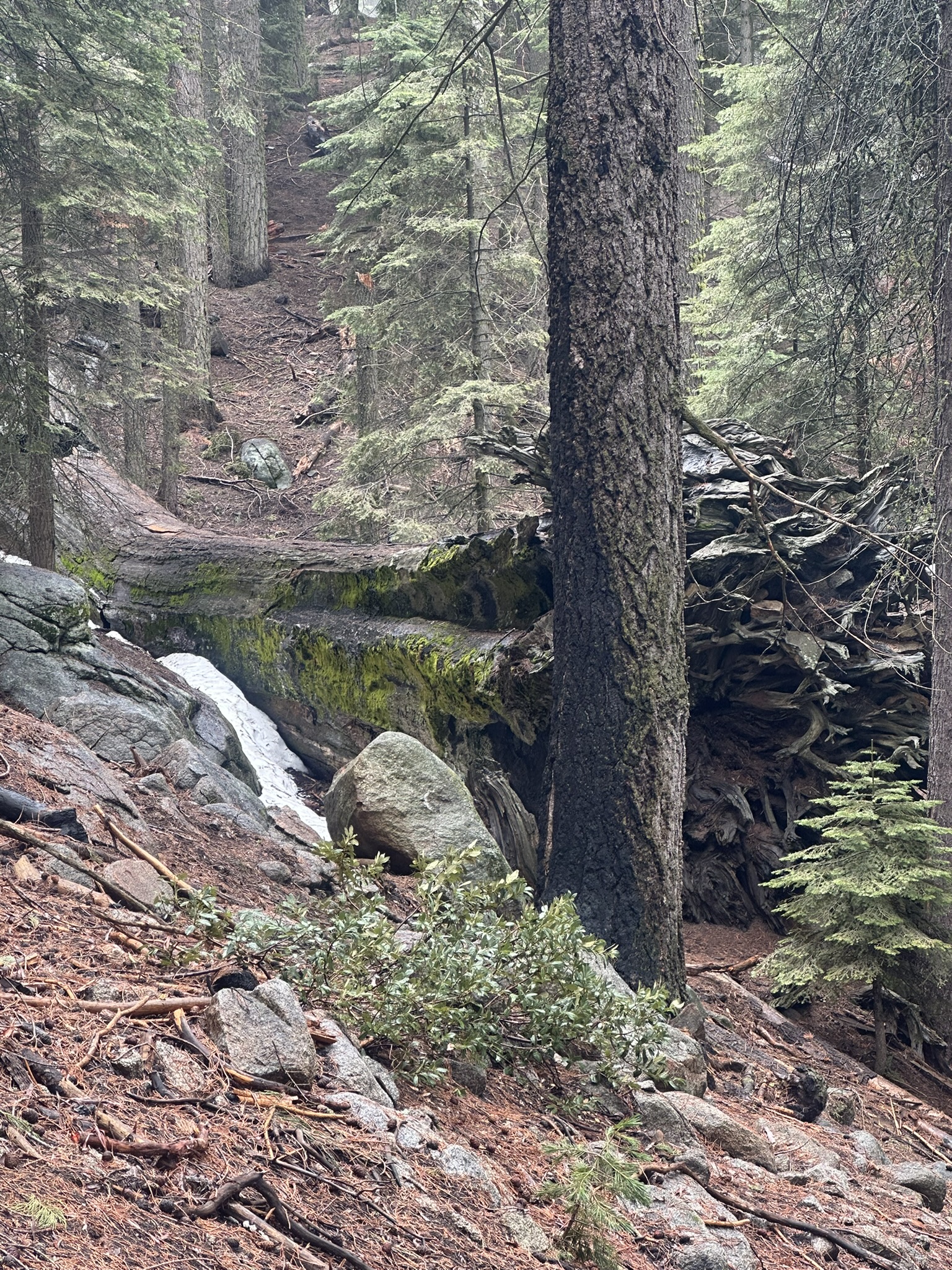 United States-National Parks-Other - Image 598